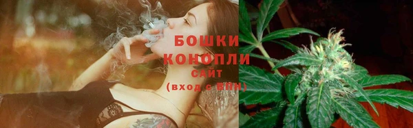 мет Каменка