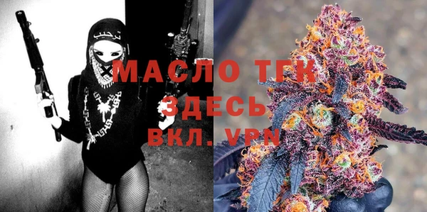 apvp Инсар