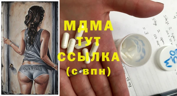 apvp Инсар