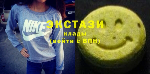 apvp Инсар